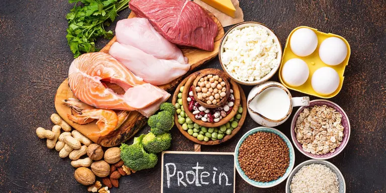Variedade de fontes de proteína